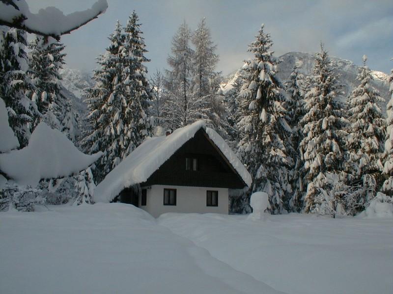 Apartmaji In Sobe Bohinjsko Jezero Ukanc Kültér fotó