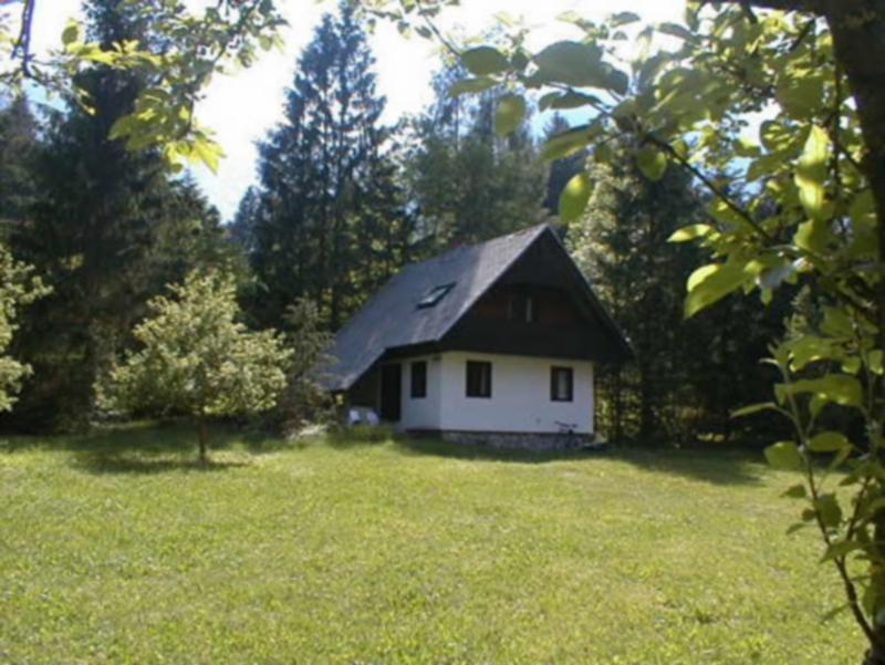 Apartmaji In Sobe Bohinjsko Jezero Ukanc Kültér fotó